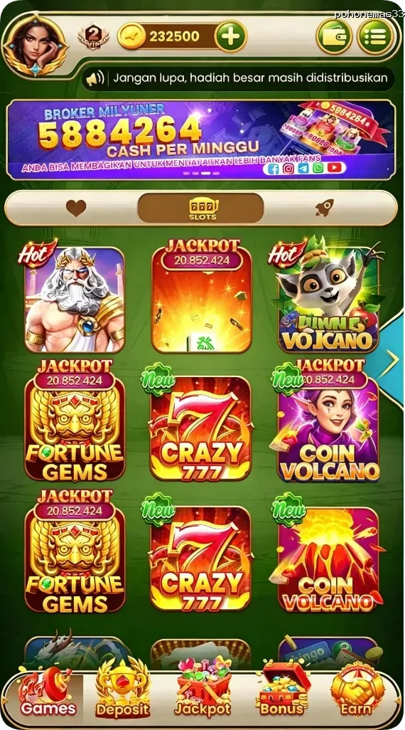 pohonemas33 APK